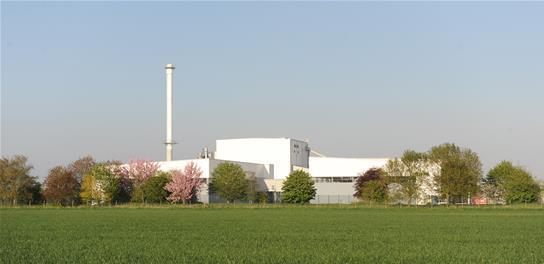 File:Brigg-picture.png
