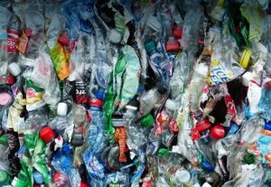 Baled plastic bottles.jpg